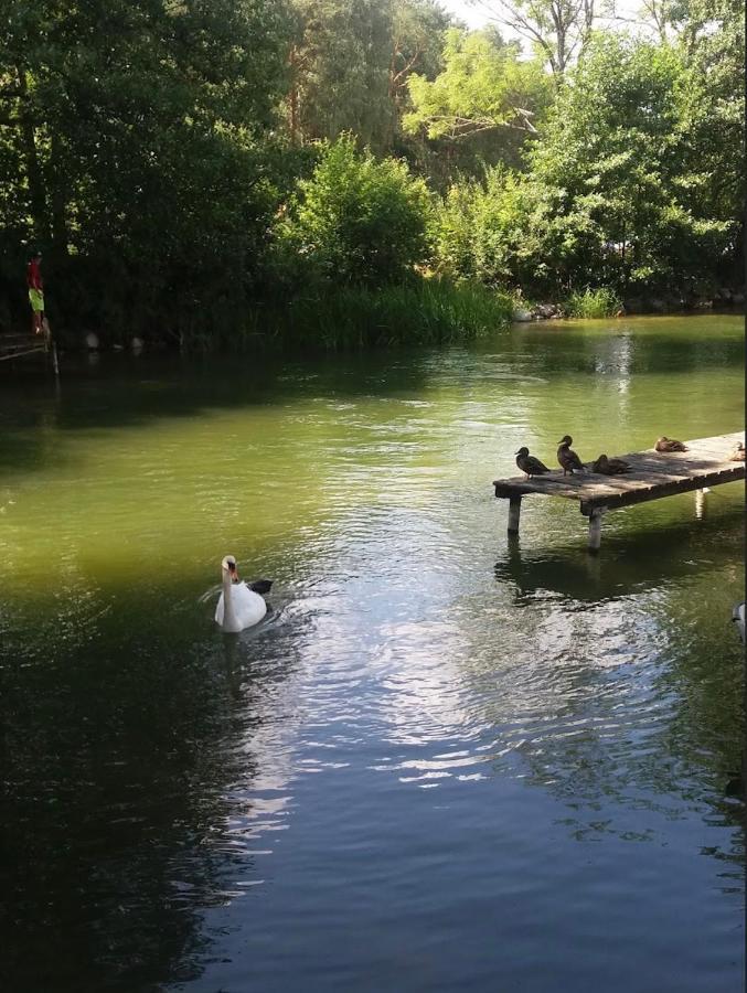 Domek Borsk Bagian luar foto