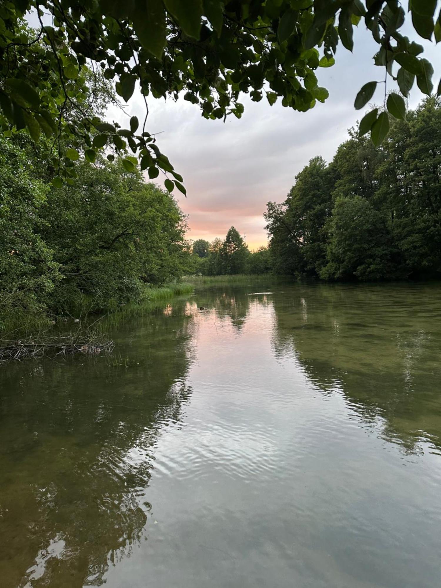 Domek Borsk Bagian luar foto
